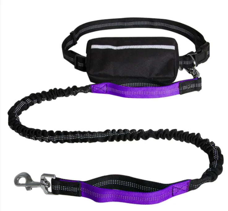 Hands-Free Dog Leash for Walking & Running