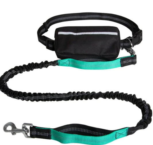 Hands-Free Dog Leash for Walking & Running