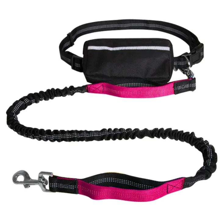 Hands-Free Dog Leash for Walking & Running