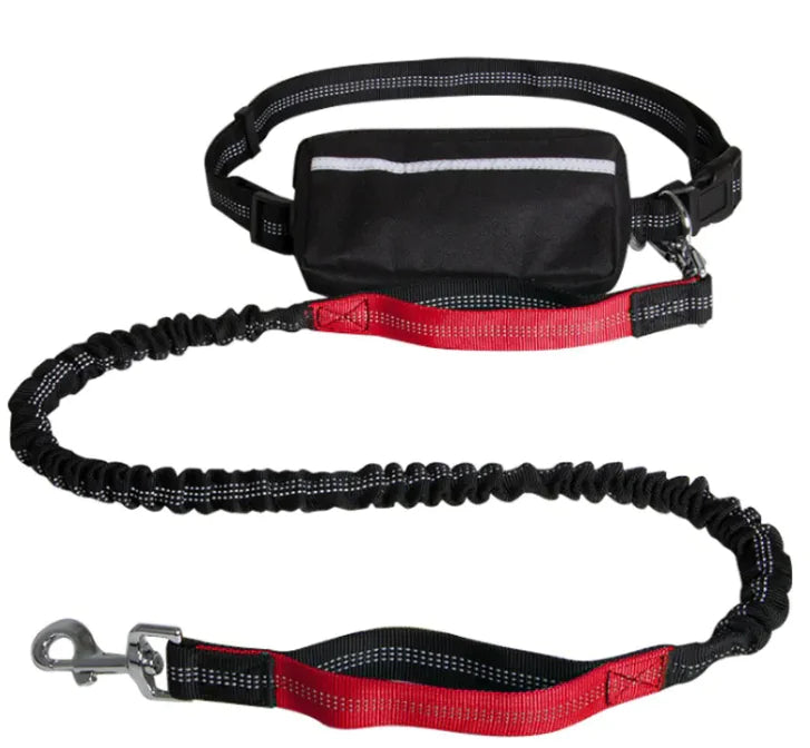 Hands-Free Dog Leash for Walking & Running