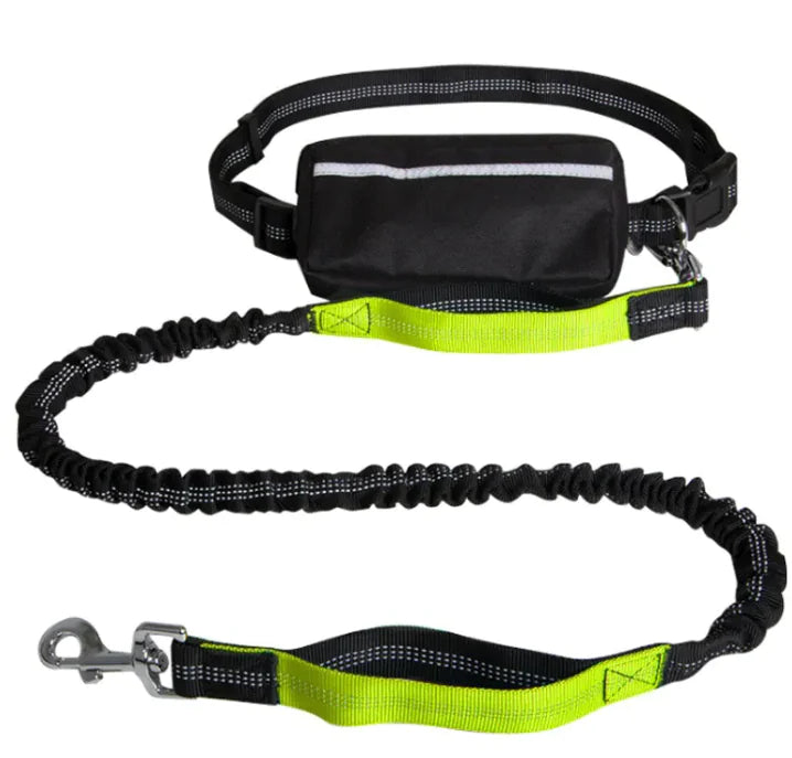Hands-Free Dog Leash for Walking & Running