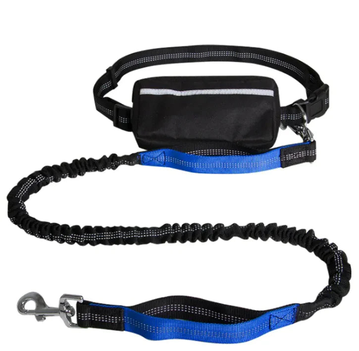 Hands-Free Dog Leash for Walking & Running